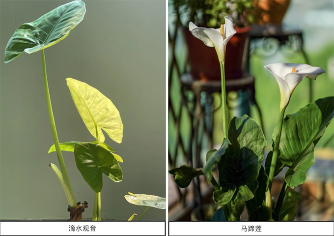 2022062116557775301012106725.png 2.png