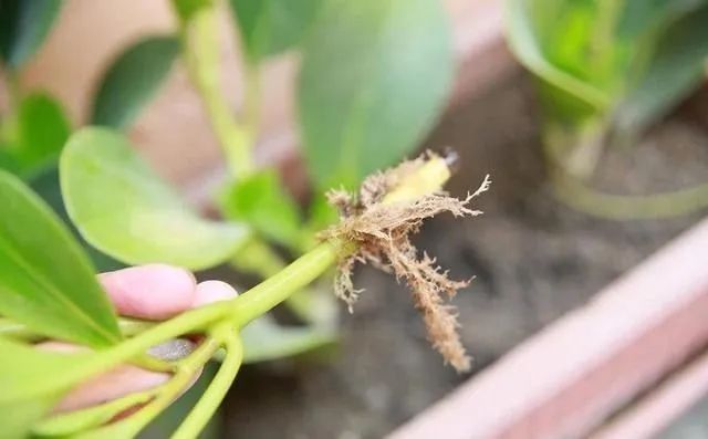 2023010916732355441139045211.jpg 10前.jpg